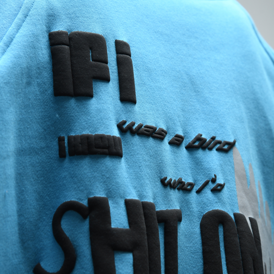 Shit And Fly Hoodie