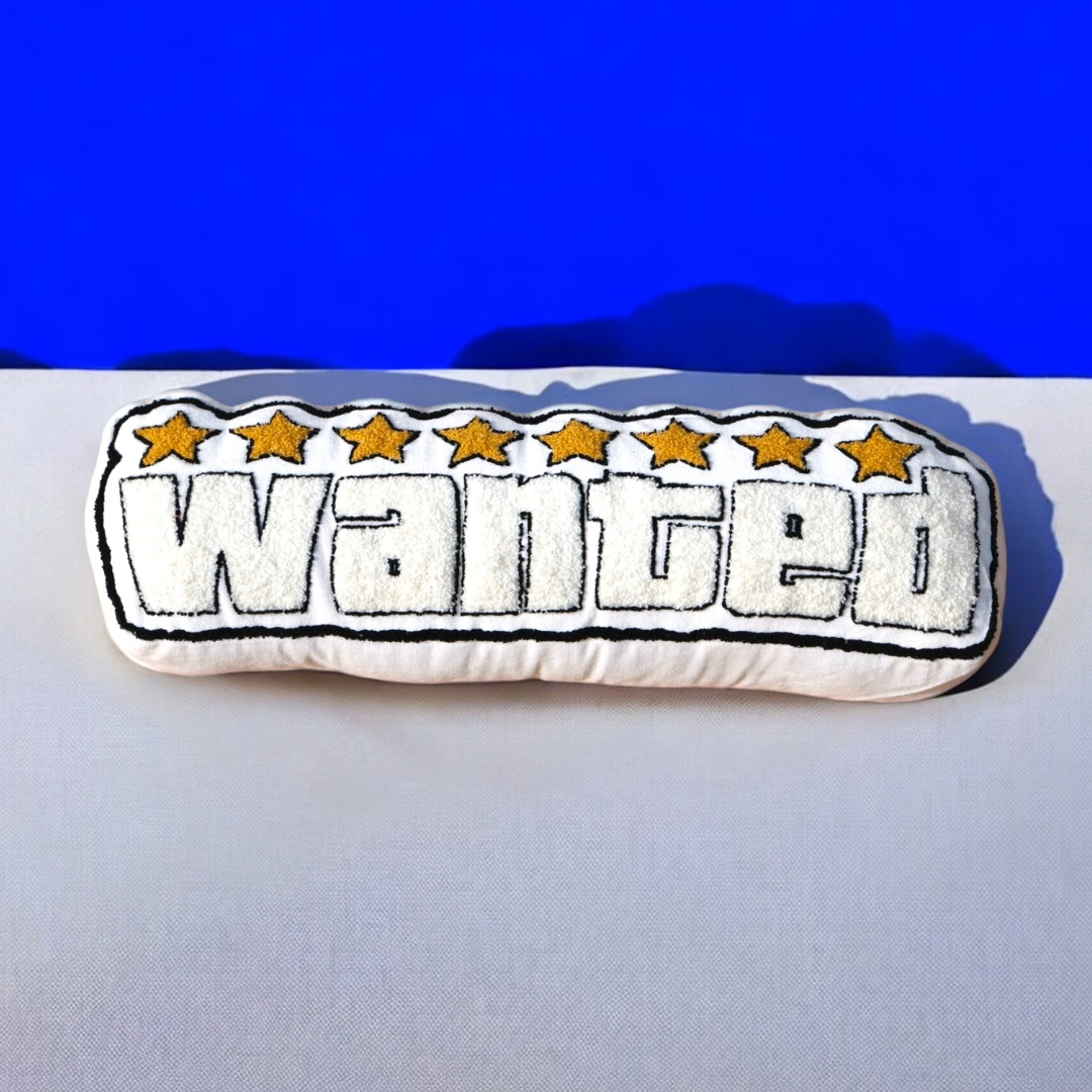 WANTED CUSHION